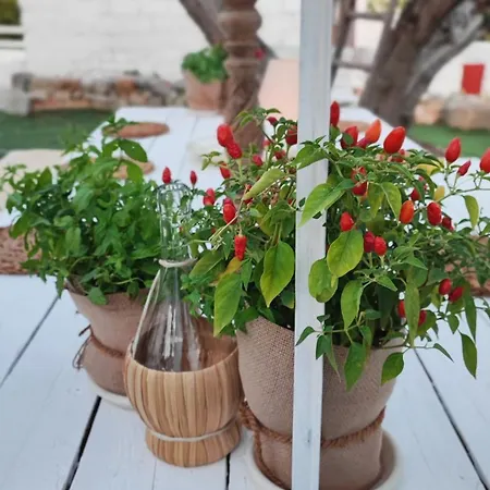 Casa Don Carmelo-holiday' S Food Experience Holiday home